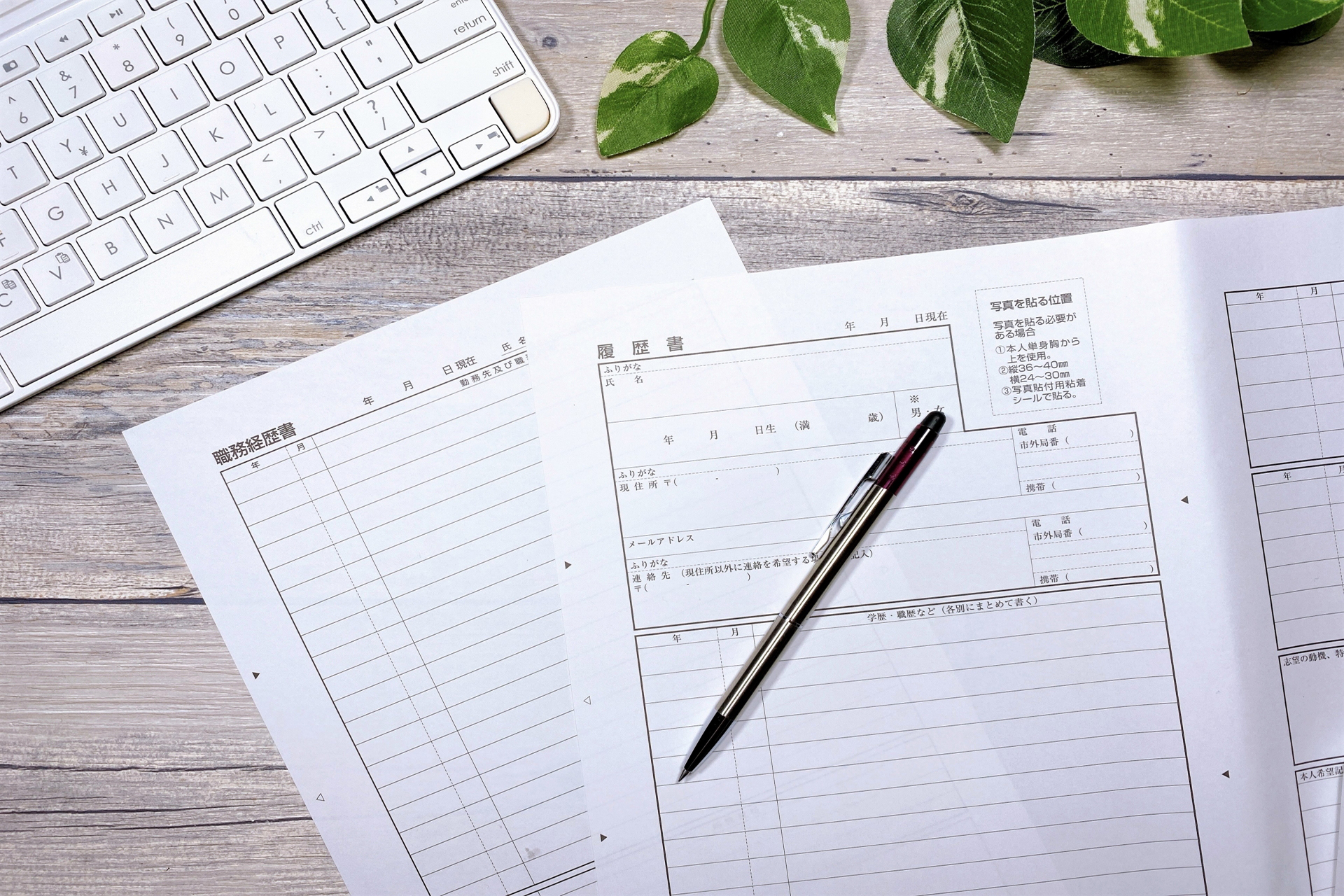 適職レポートの作成